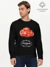 Мужской лонгслив базовый / PRADAM