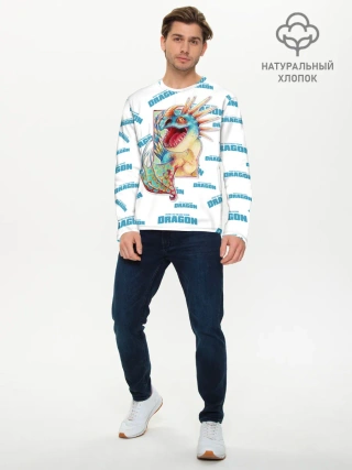 Мужской лонгслив базовый / Как приручить дракона