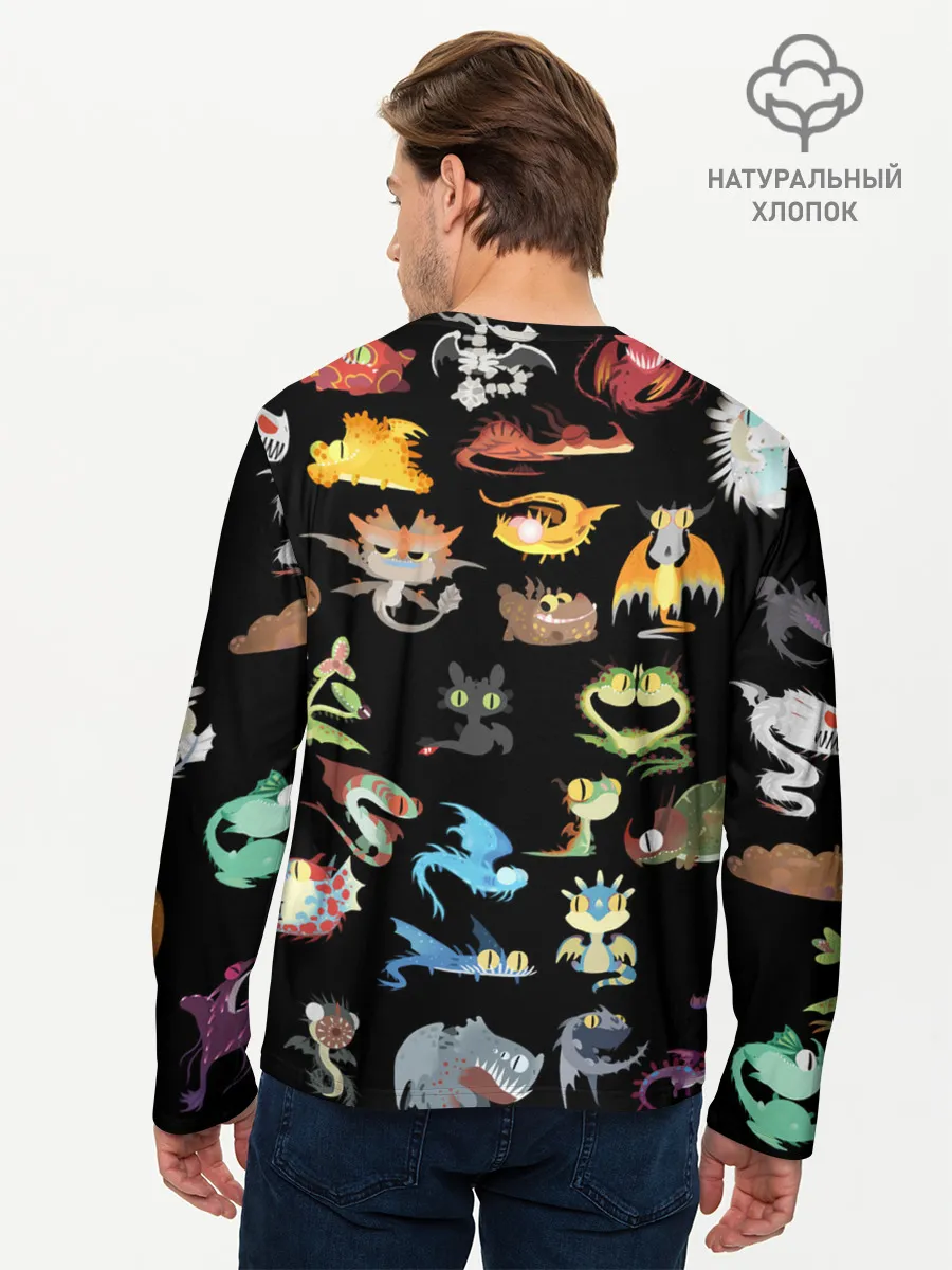Мужской лонгслив базовый / How to Train Your Dragon