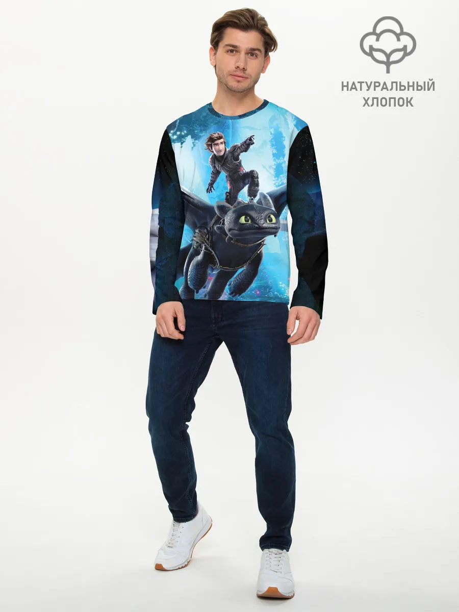 Мужской лонгслив базовый / Как приручить дракона 3