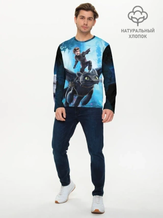 Мужской лонгслив базовый / Как приручить дракона 3