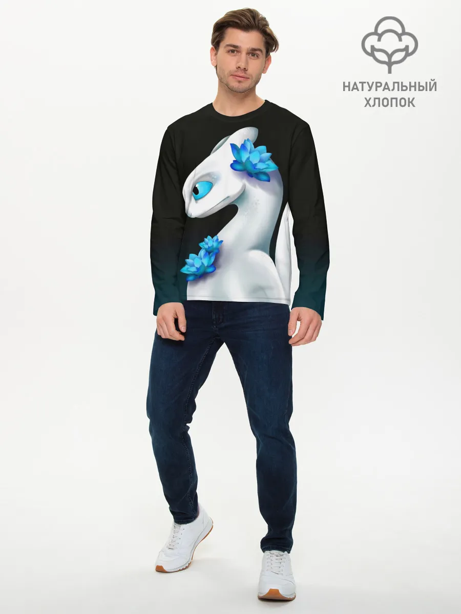 Мужской лонгслив базовый / Как приручить дракона