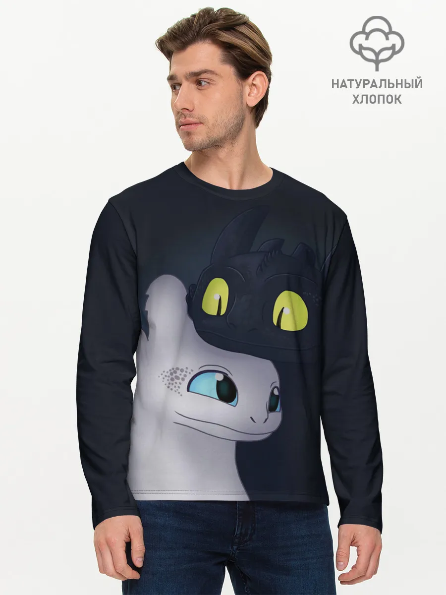 Мужской лонгслив базовый / Как приручить дракона
