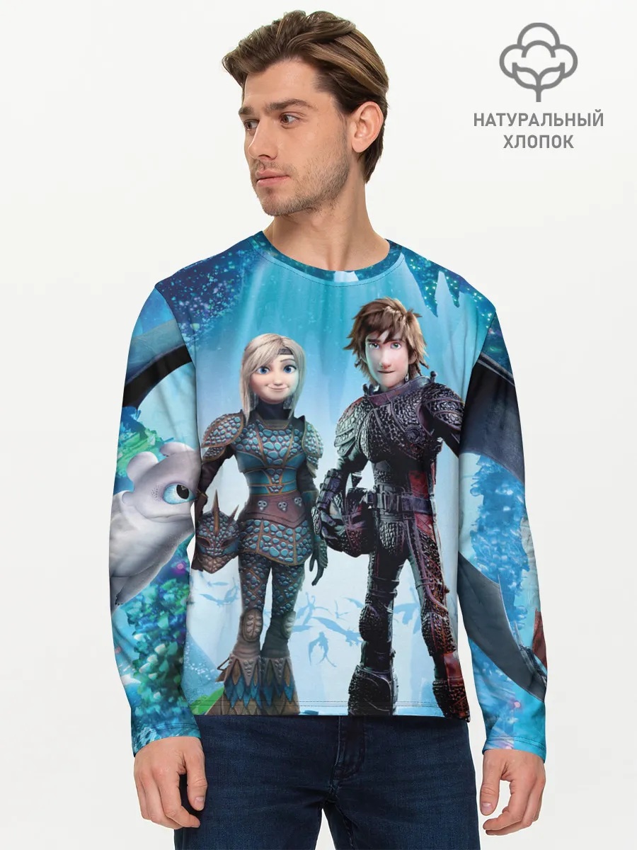 Мужской лонгслив базовый / Как приручить дракона 3