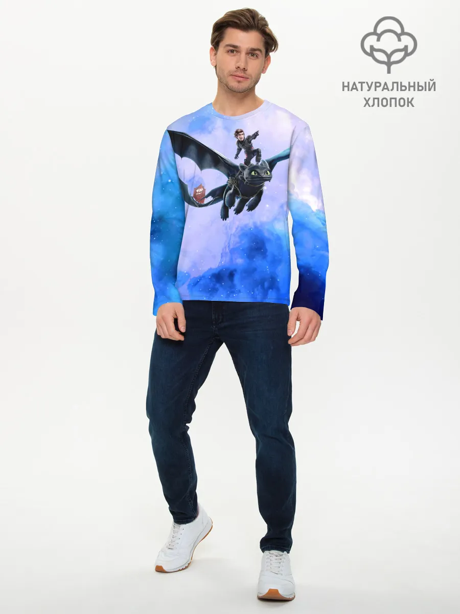 Мужской лонгслив базовый / Night Fury
