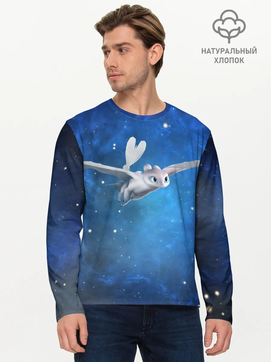 Мужской лонгслив базовый / Light Fury