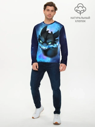 Мужской лонгслив базовый / Night Fury