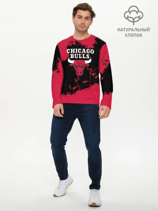 Мужской лонгслив базовый / CHICAGO BULLS