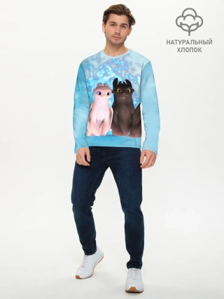 Мужской лонгслив базовый / ночная фурия