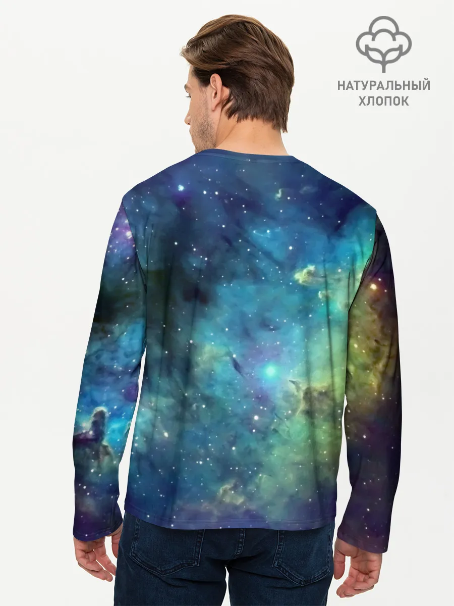 Мужской лонгслив базовый / дневная фурия