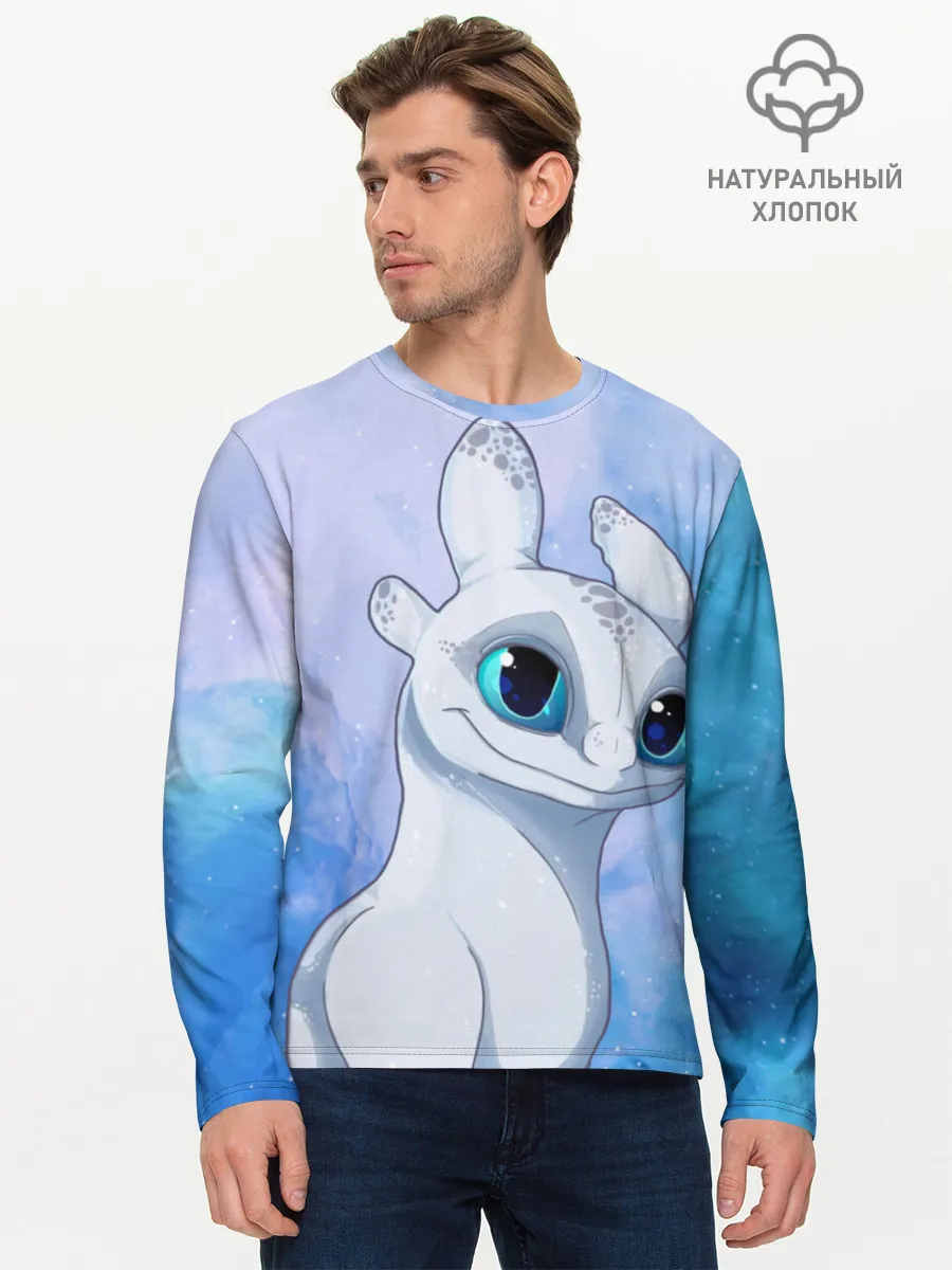 Мужской лонгслив базовый / дневная фурия