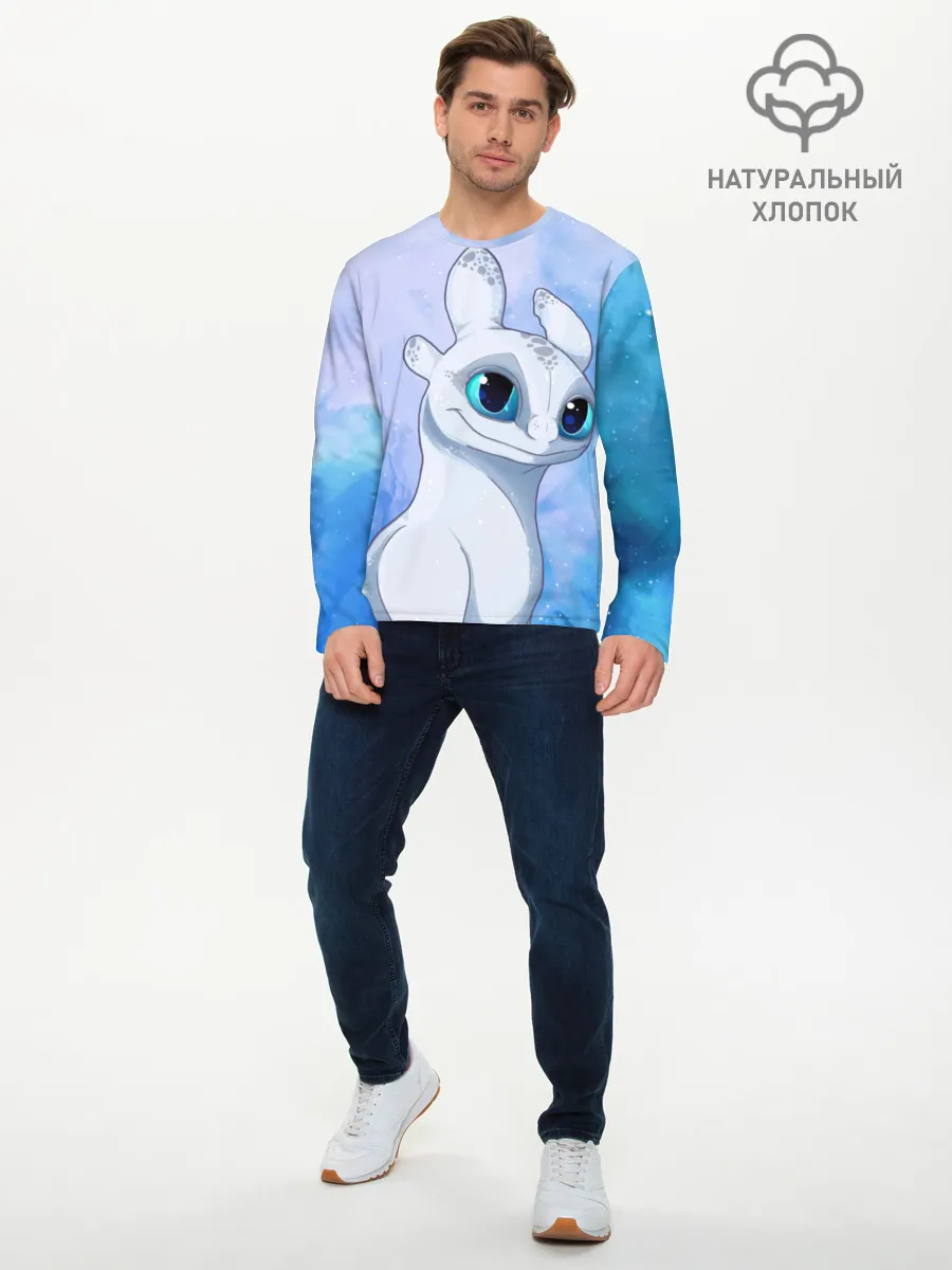 Мужской лонгслив базовый / дневная фурия