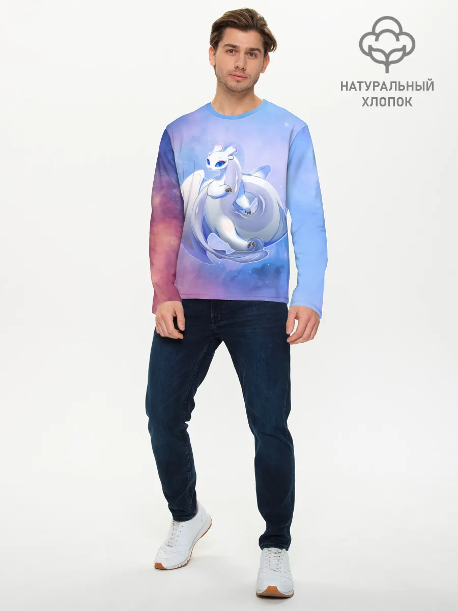 Мужской лонгслив базовый / дневная фурия