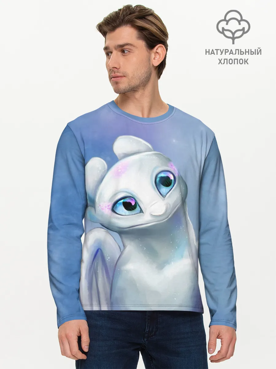 Мужской лонгслив базовый / дневная фурия