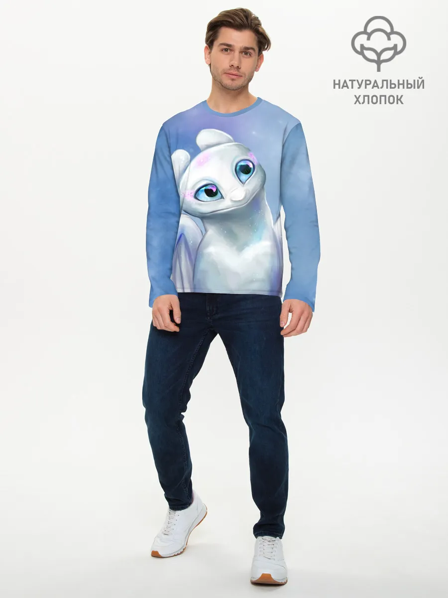 Мужской лонгслив базовый / дневная фурия