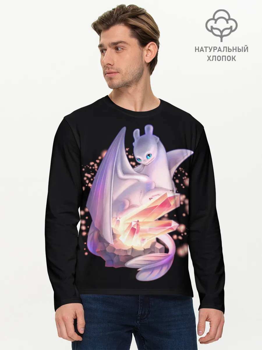 Мужской лонгслив базовый / дневная фурия