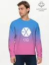 Мужской лонгслив базовый / EXO