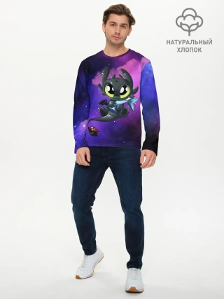 Мужской лонгслив базовый / Как приручить дракона