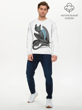 Мужской лонгслив базовый / Как приручить дракона