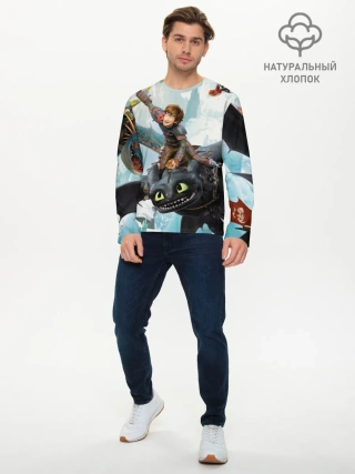 Мужской лонгслив базовый / Как приручить дракона