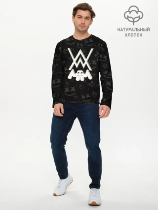 Мужской лонгслив базовый / Alan Walker & Marshmello