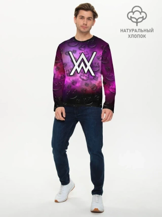 Мужской лонгслив базовый / Alan Walker & Marshmello