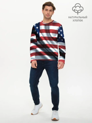 Мужской лонгслив базовый / Символика Америки