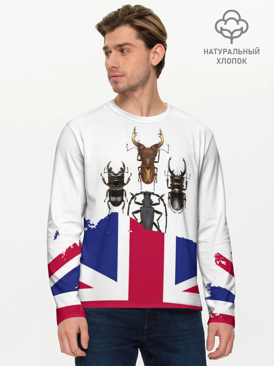 Мужской лонгслив базовый / Жуки