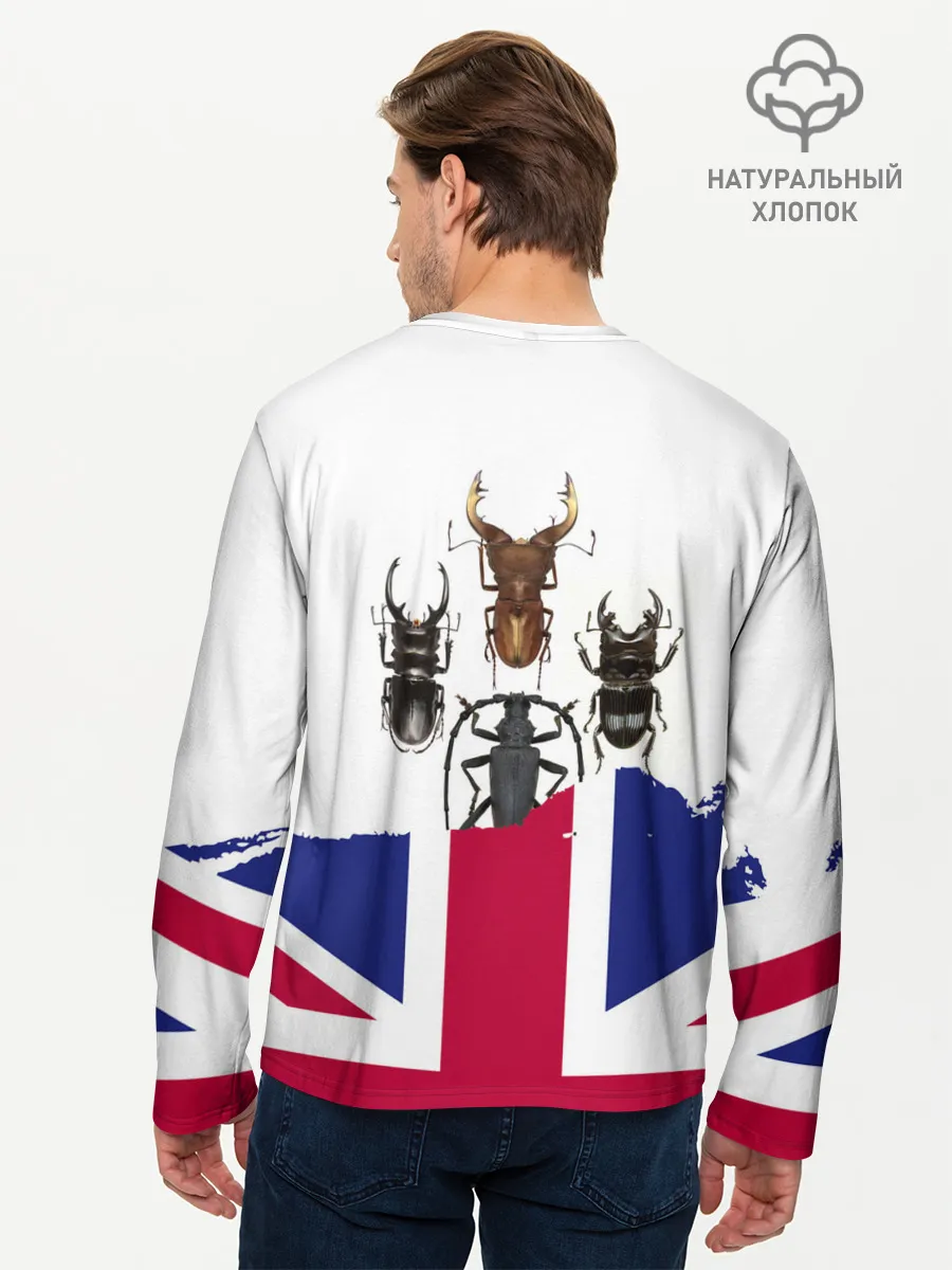 Мужской лонгслив базовый / Жуки