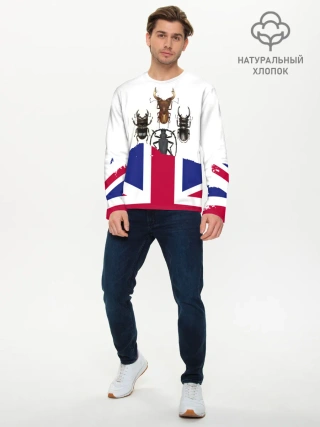 Мужской лонгслив базовый / Жуки