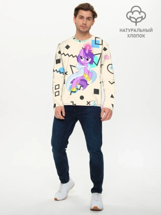 Мужской лонгслив базовый / My Little Pony