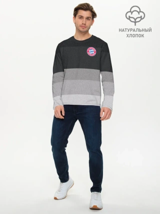 Мужской лонгслив базовый / Бавария