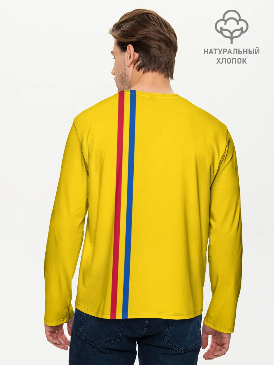 Мужской лонгслив базовый / Молдавия, лента с гербом