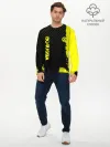 Мужской лонгслив базовый / Borussia sport