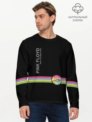 Мужской лонгслив базовый / Pink Floyd