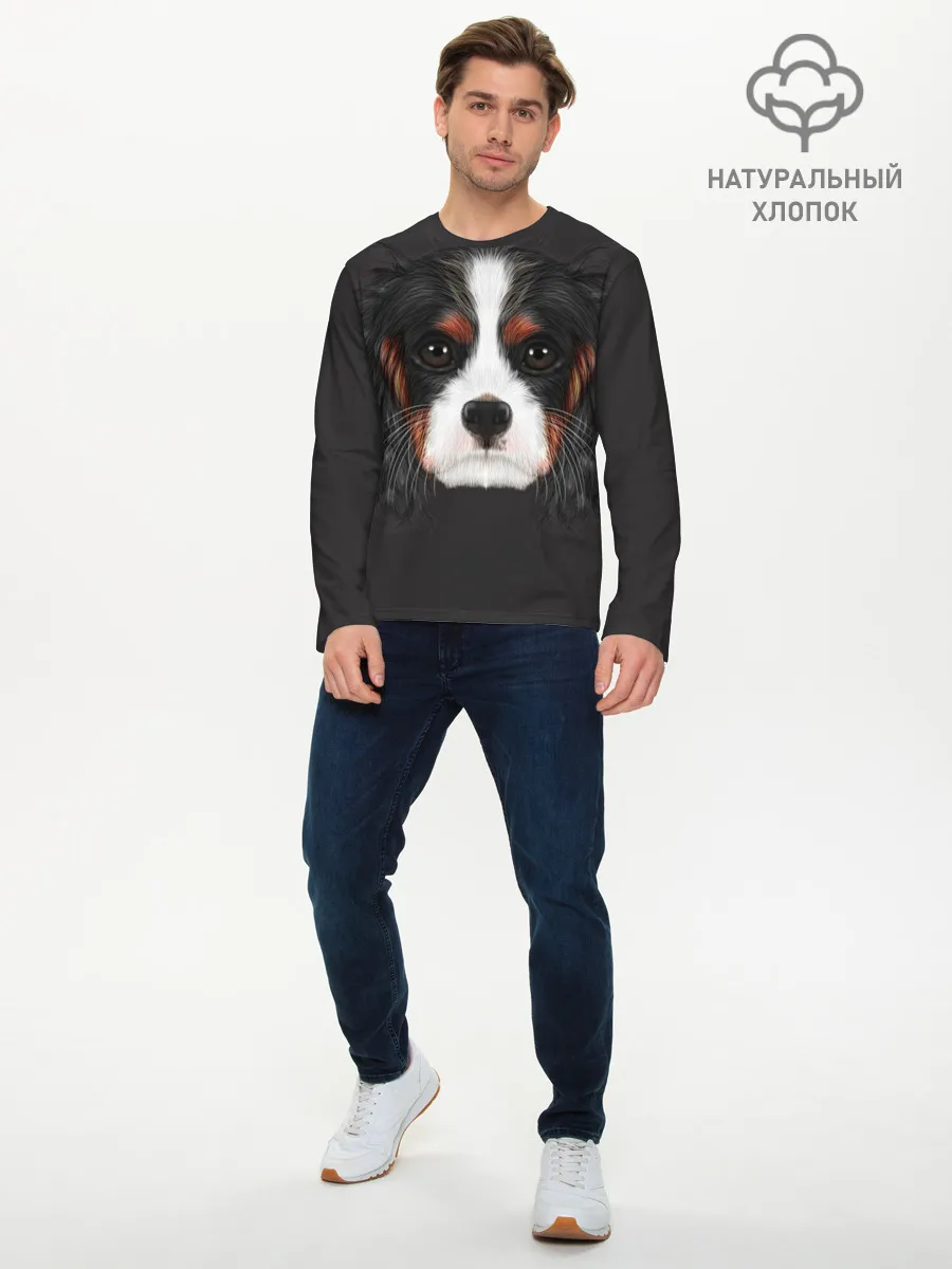 Мужской лонгслив базовый / Cavalier King Charles
