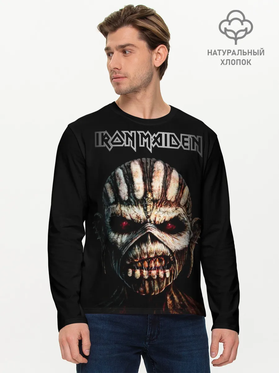 Мужской лонгслив базовый / Iron Maden. The Book of Souls