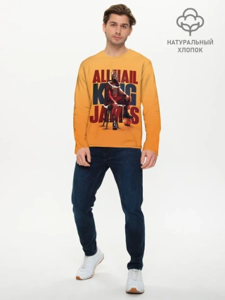 Мужской лонгслив базовый / LeBron James