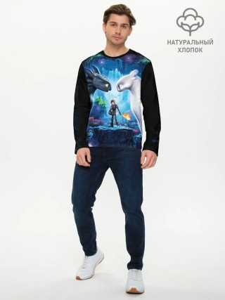 Мужской лонгслив базовый / как приручить дракона