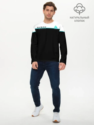 Мужской лонгслив базовый / Detroit RK900