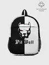 Рюкзак детский / Pit Bull