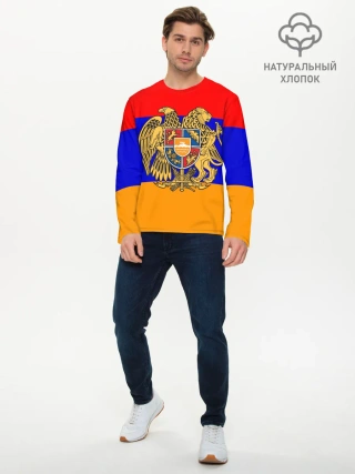 Мужской лонгслив базовый / Герб и флаг Армении