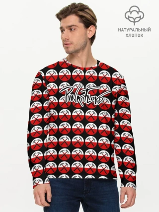 Мужской лонгслив базовый / Pink Floyd