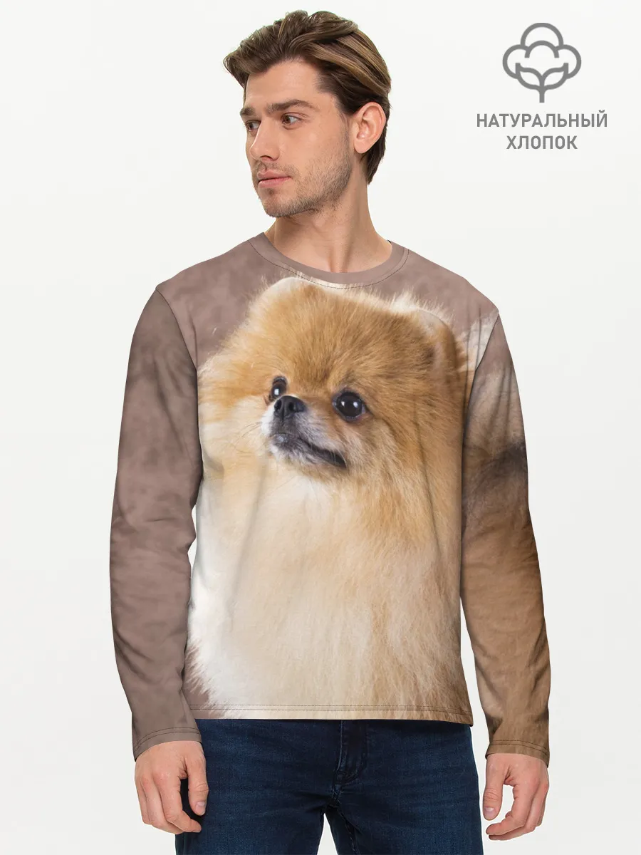 Мужской лонгслив базовый / Шпитс