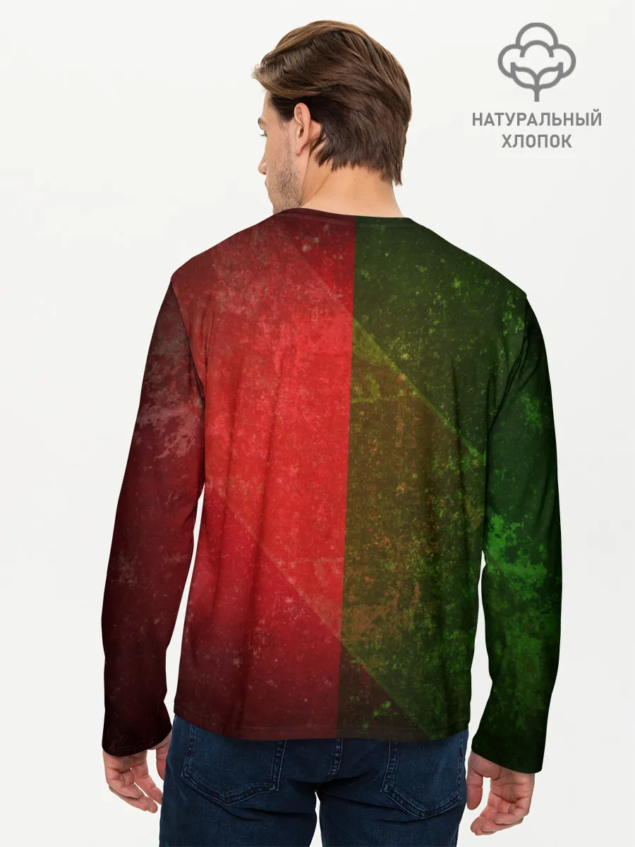 Мужской лонгслив базовый / Локомотив