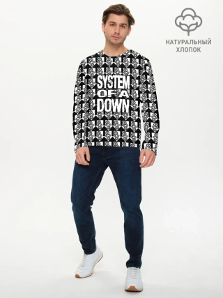 Мужской лонгслив базовый / System of a Down