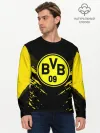 Мужской лонгслив базовый / BORUSSIA SPORT
