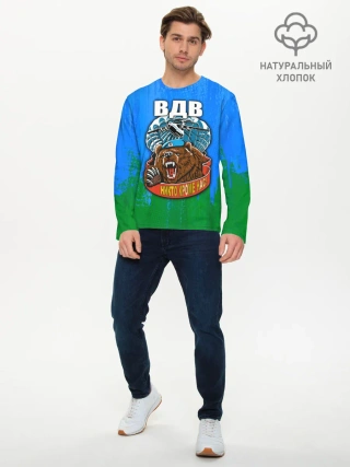 Мужской лонгслив базовый / ВДВ