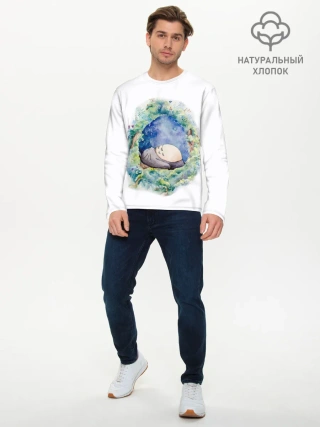 Мужской лонгслив базовый / Тоторо спит