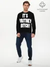 Мужской лонгслив базовый / Its Britney Bitch